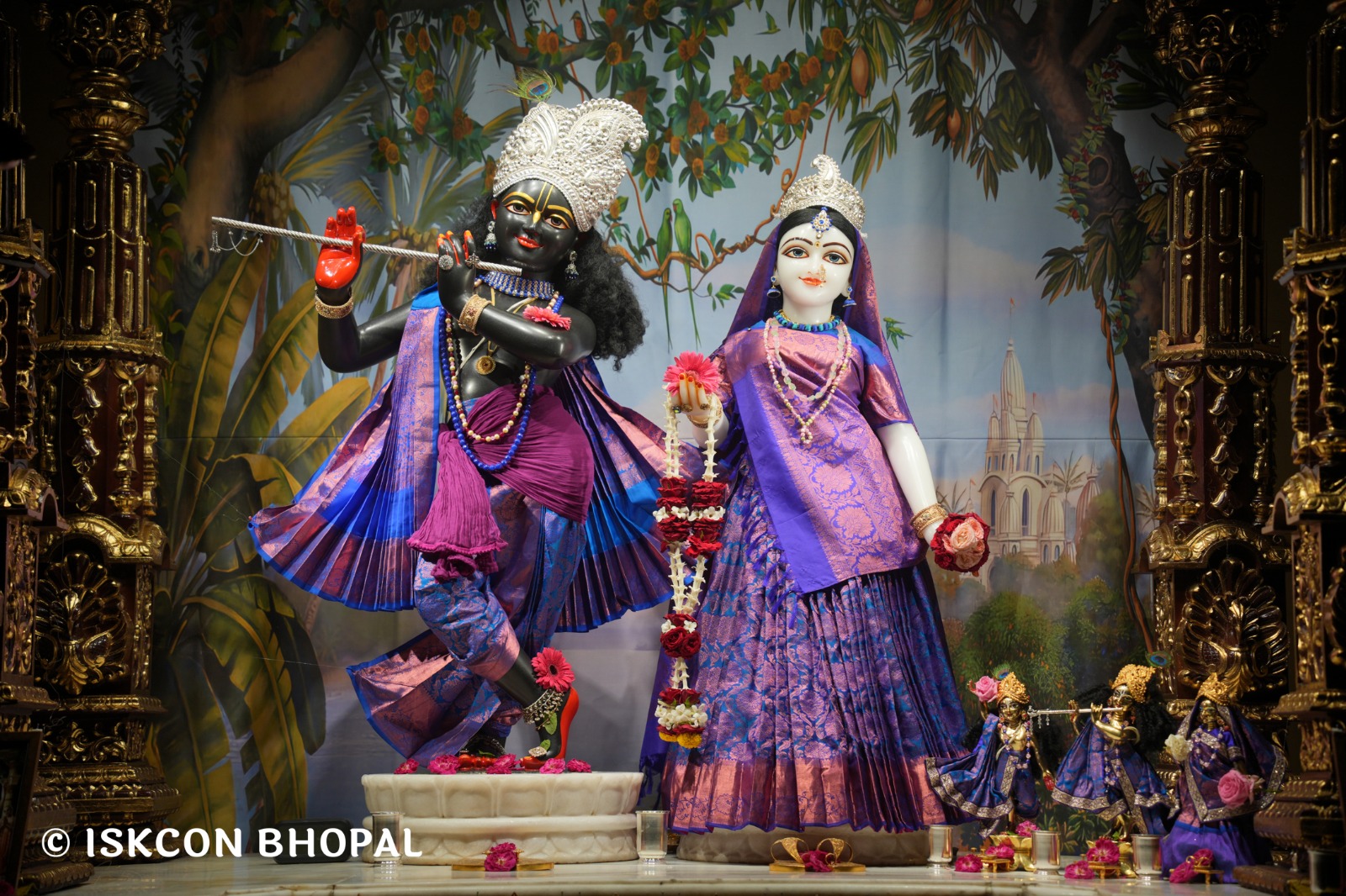 WhatsApp Image 2026-04-15 at 08.00.48