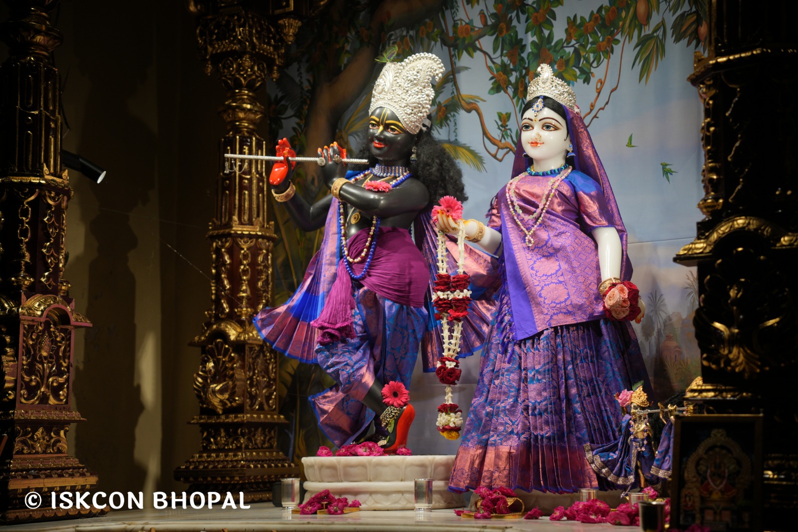 WhatsApp Image 2026-04-15 at 08.00.50