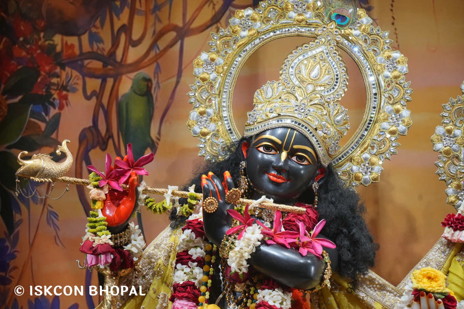 WhatsApp Image 2026-04-15 at 08.02.01