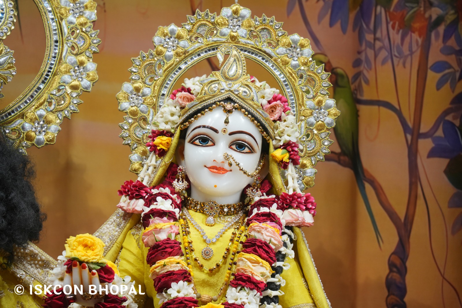 WhatsApp Image 2026-04-15 at 08.02.02