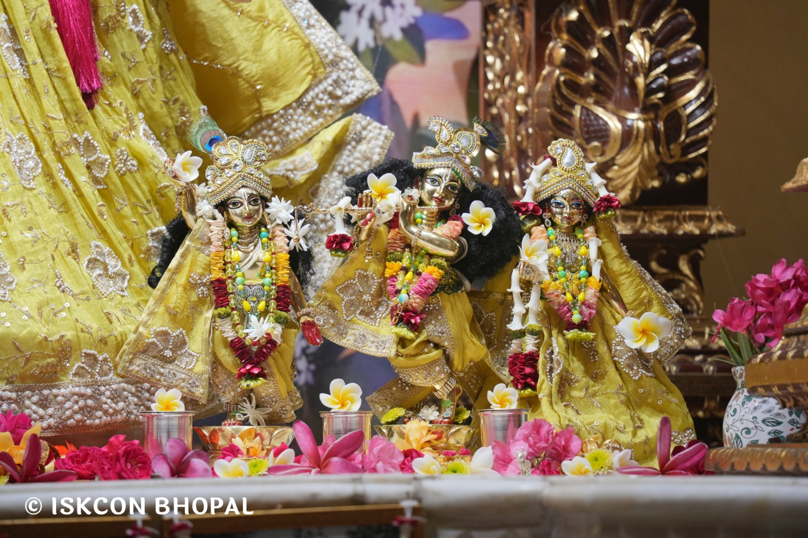 WhatsApp Image 2026-04-15 at 08.02.04