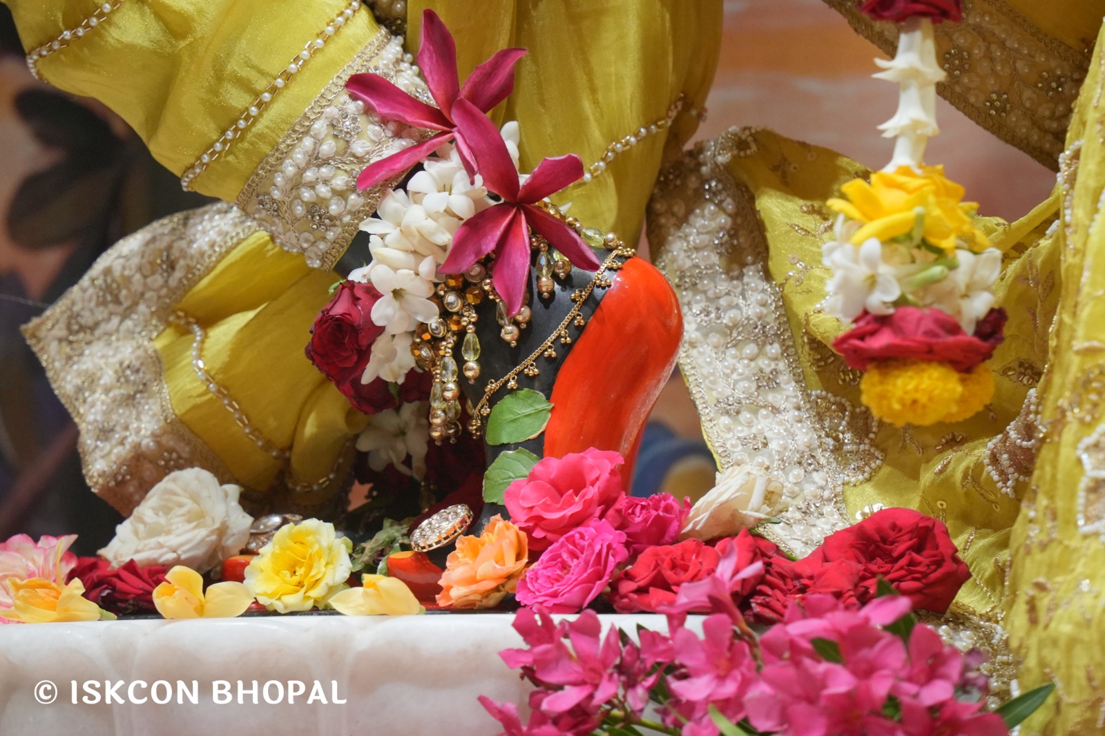 WhatsApp Image 2026-04-15 at 08.02.06