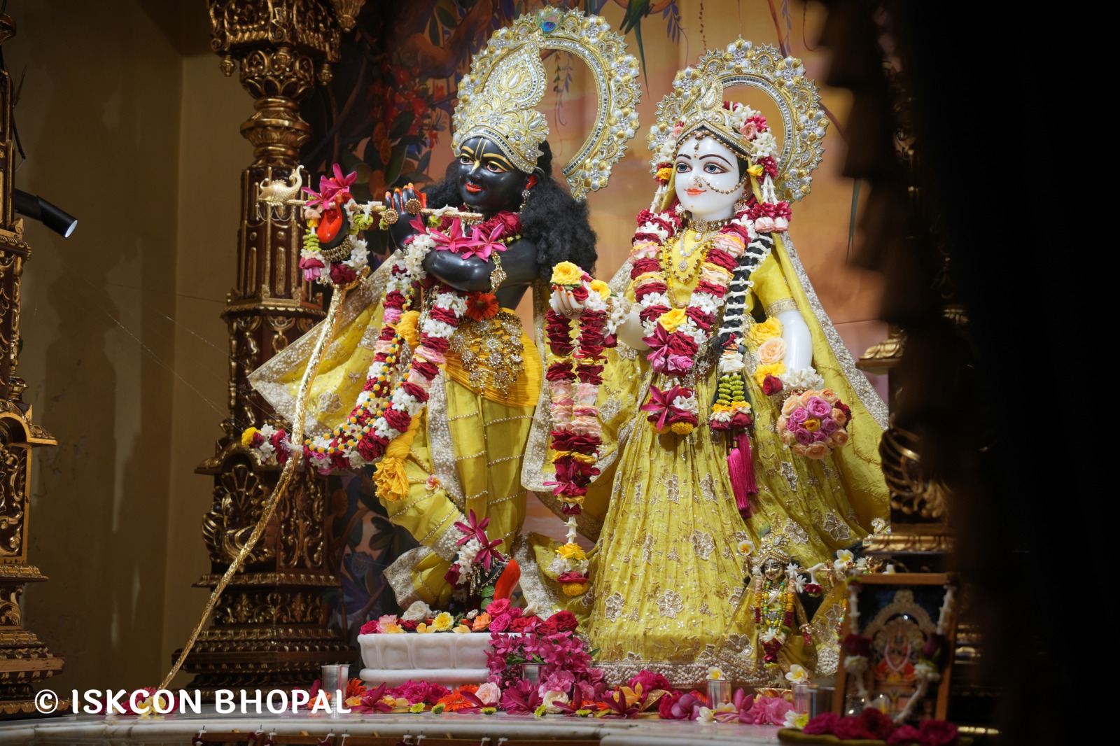 WhatsApp Image 2026-04-15 at 08.02.17