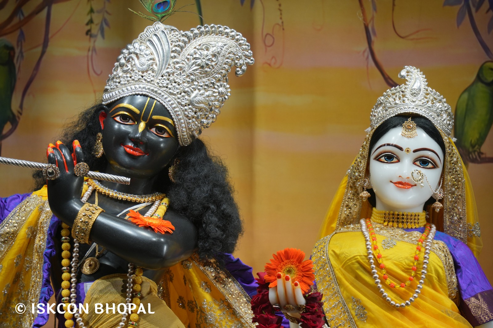 WhatsApp Image 2026-04-16 at 08.01.14