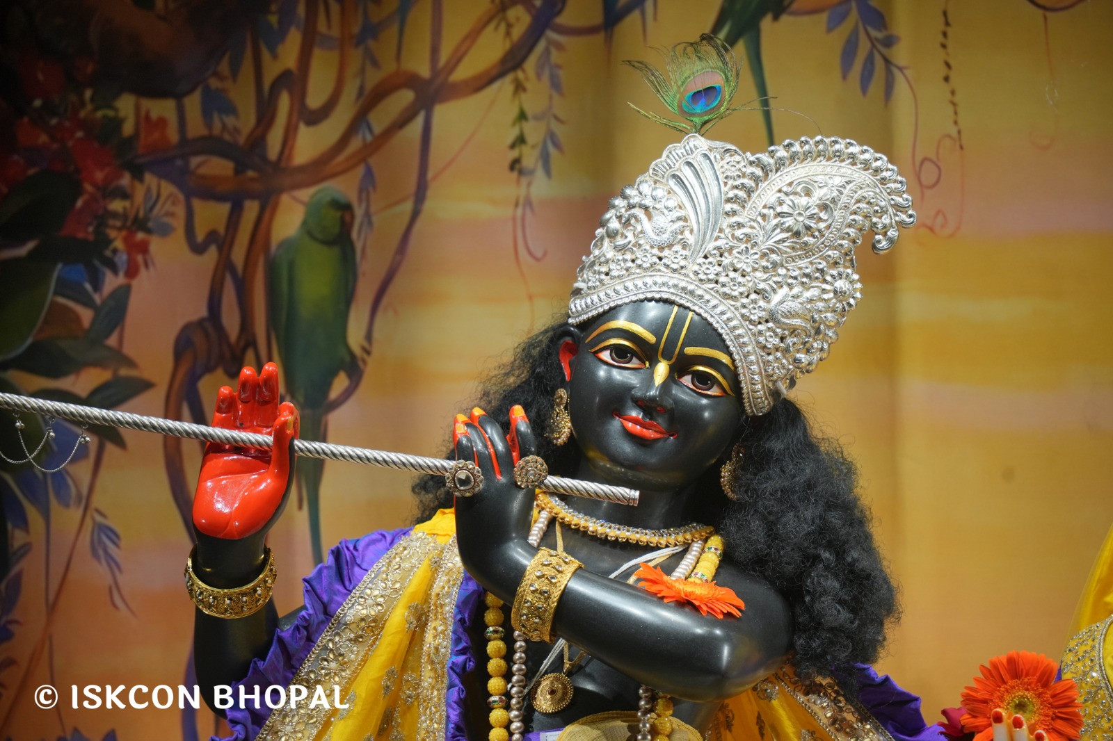 WhatsApp Image 2026-04-16 at 08.01.16