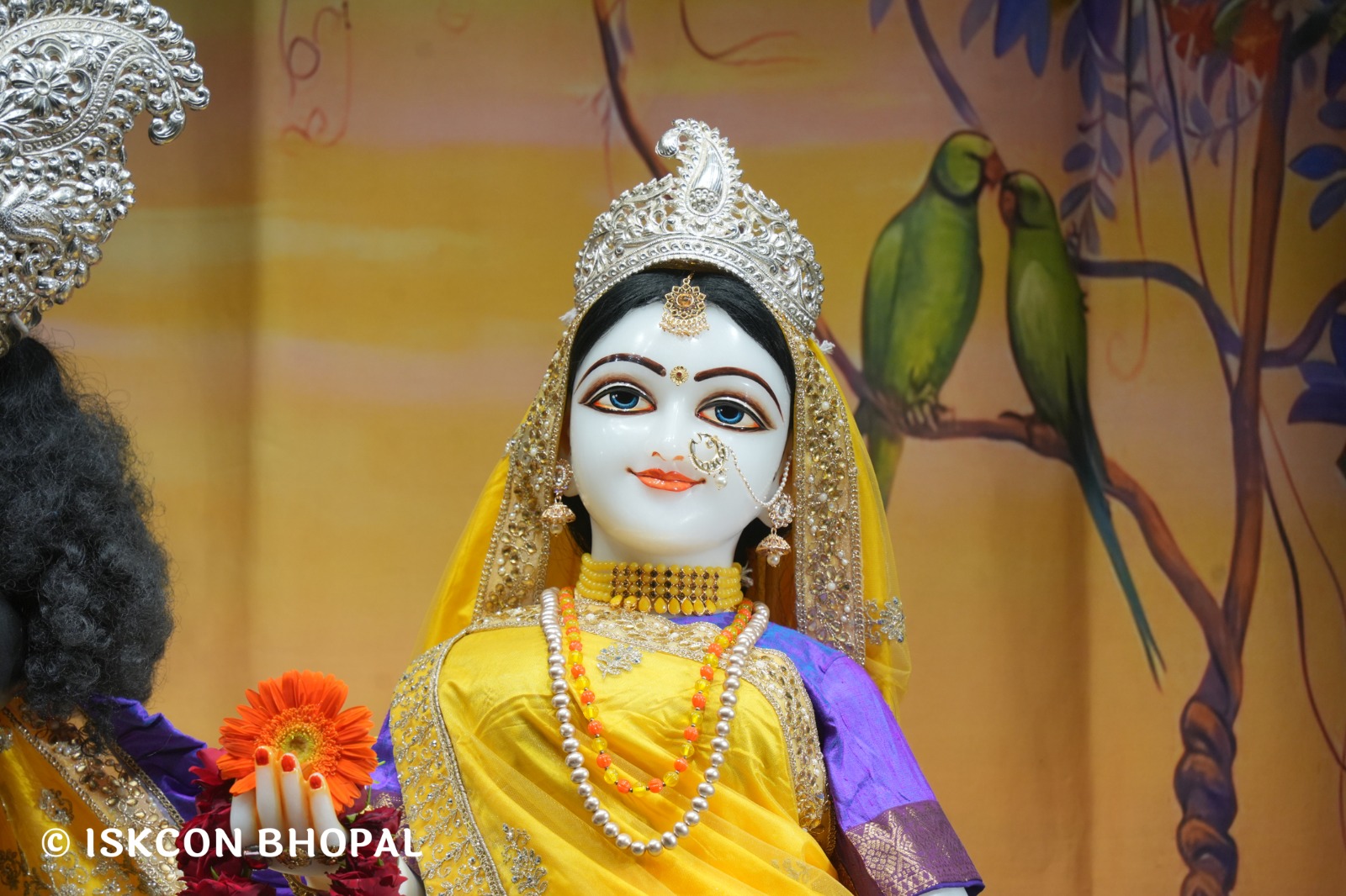 WhatsApp Image 2026-04-16 at 08.01.17