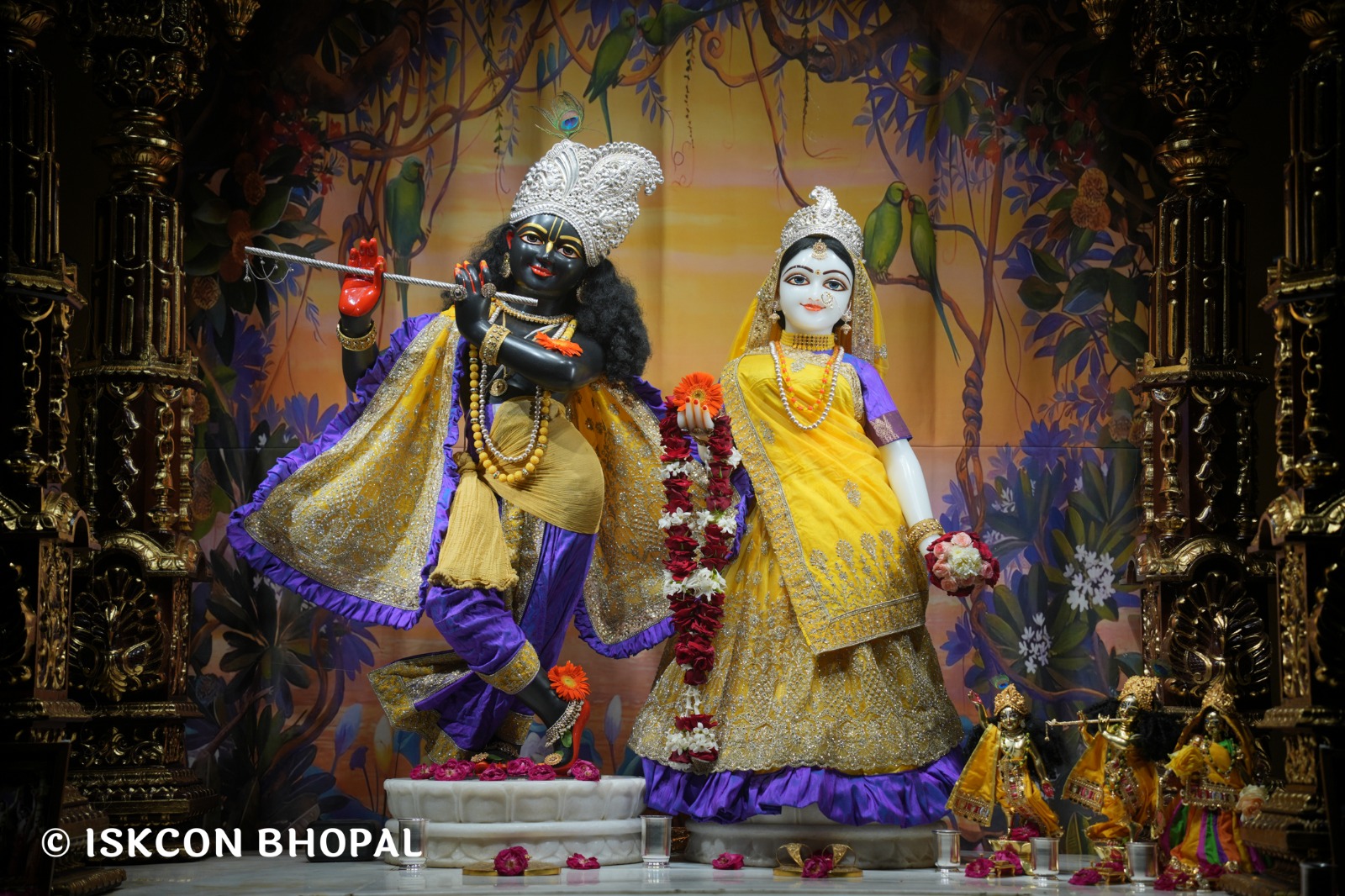 WhatsApp Image 2026-04-16 at 08.01.18