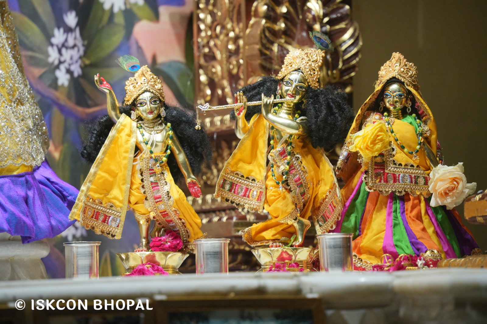 WhatsApp Image 2026-04-16 at 08.01.22