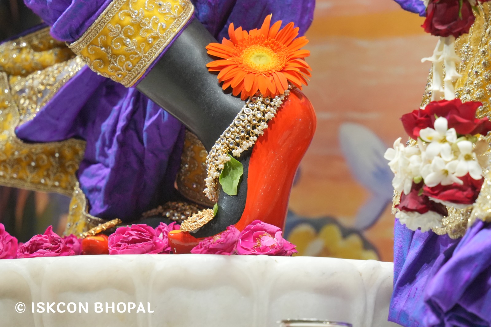 WhatsApp Image 2026-04-16 at 08.01.26