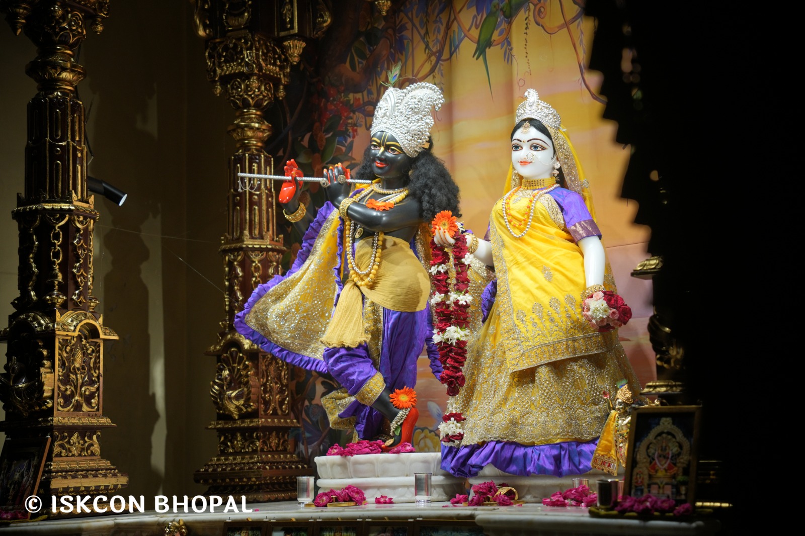 WhatsApp Image 2026-04-16 at 08.01.43