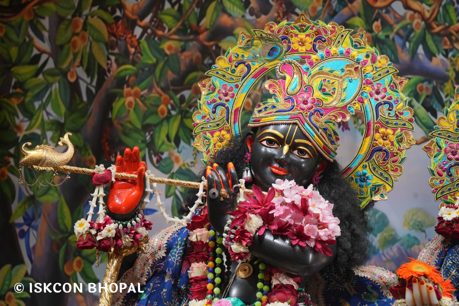 WhatsApp Image 2026-04-16 at 08.04.44