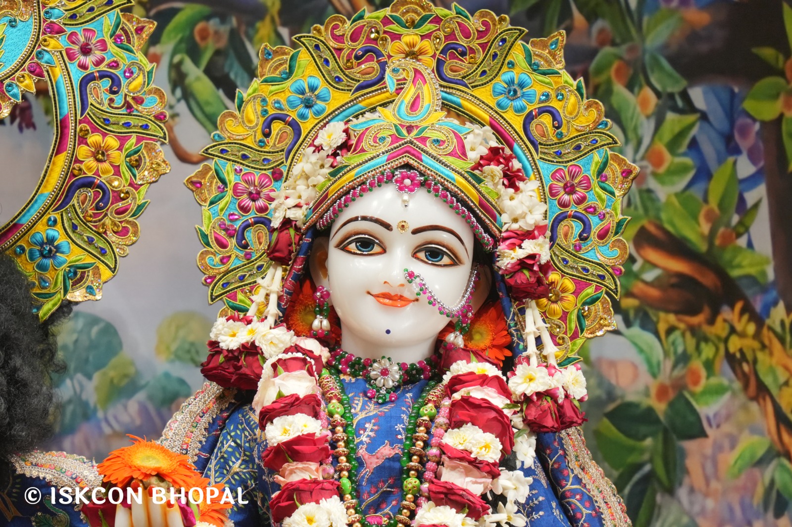 WhatsApp Image 2026-04-16 at 08.04.45