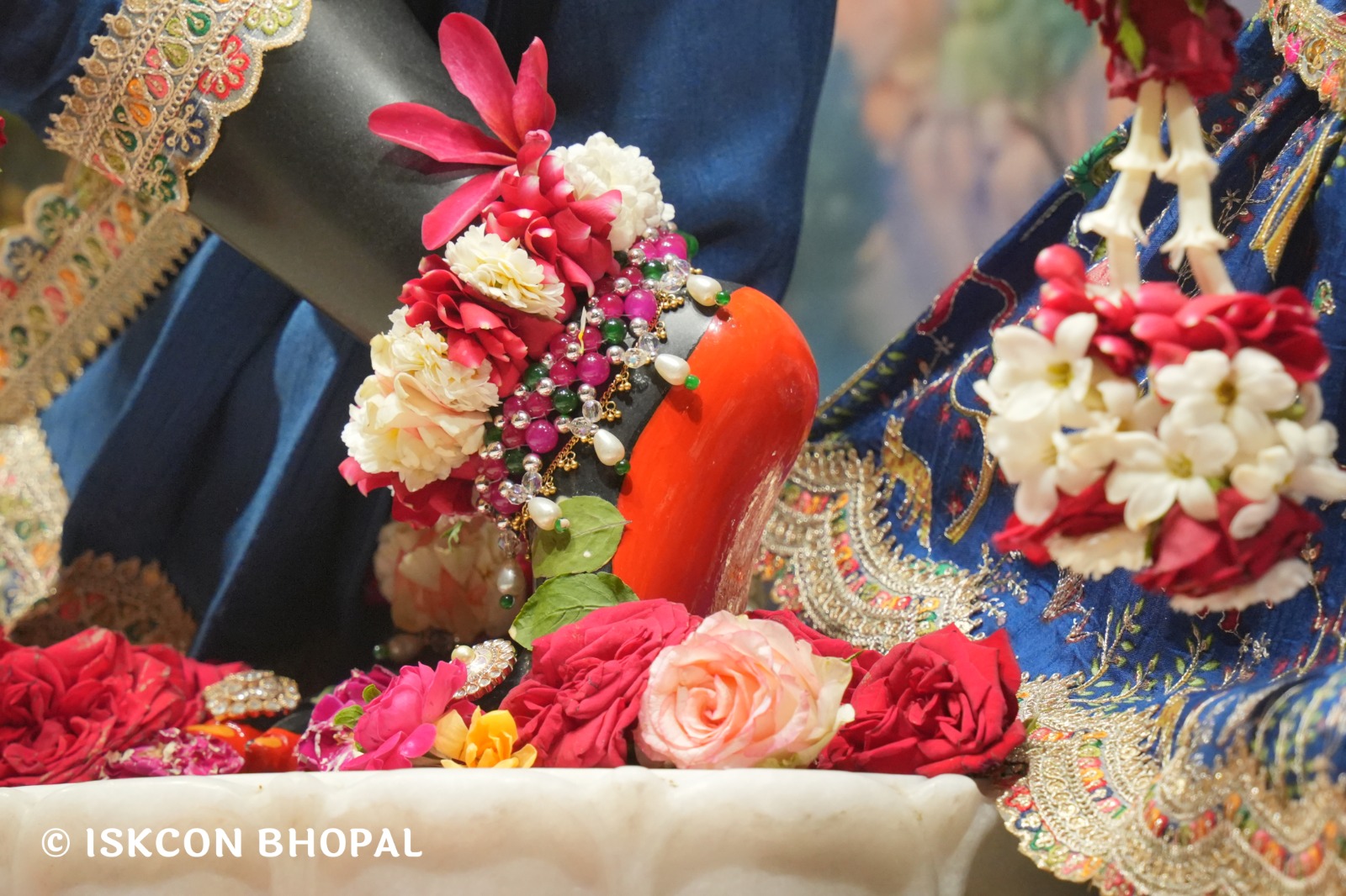 WhatsApp Image 2026-04-16 at 08.04.49