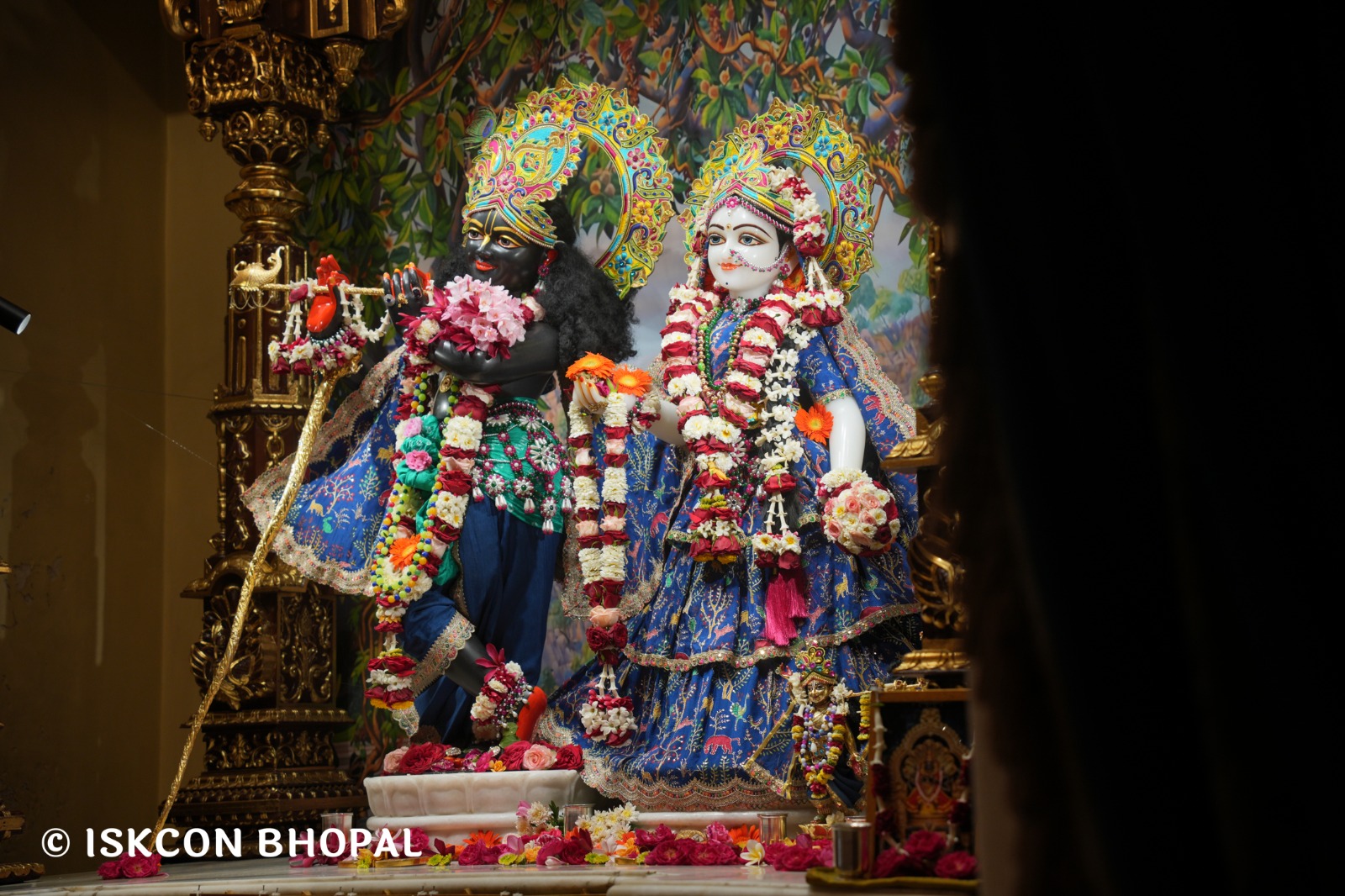 WhatsApp Image 2026-04-16 at 08.04.50