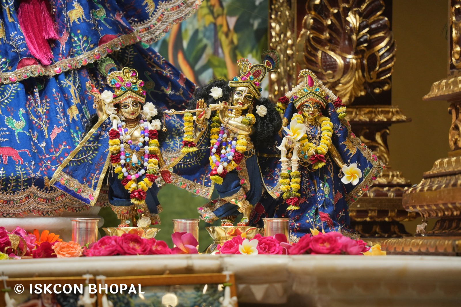 WhatsApp Image 2026-04-16 at 08.04.52