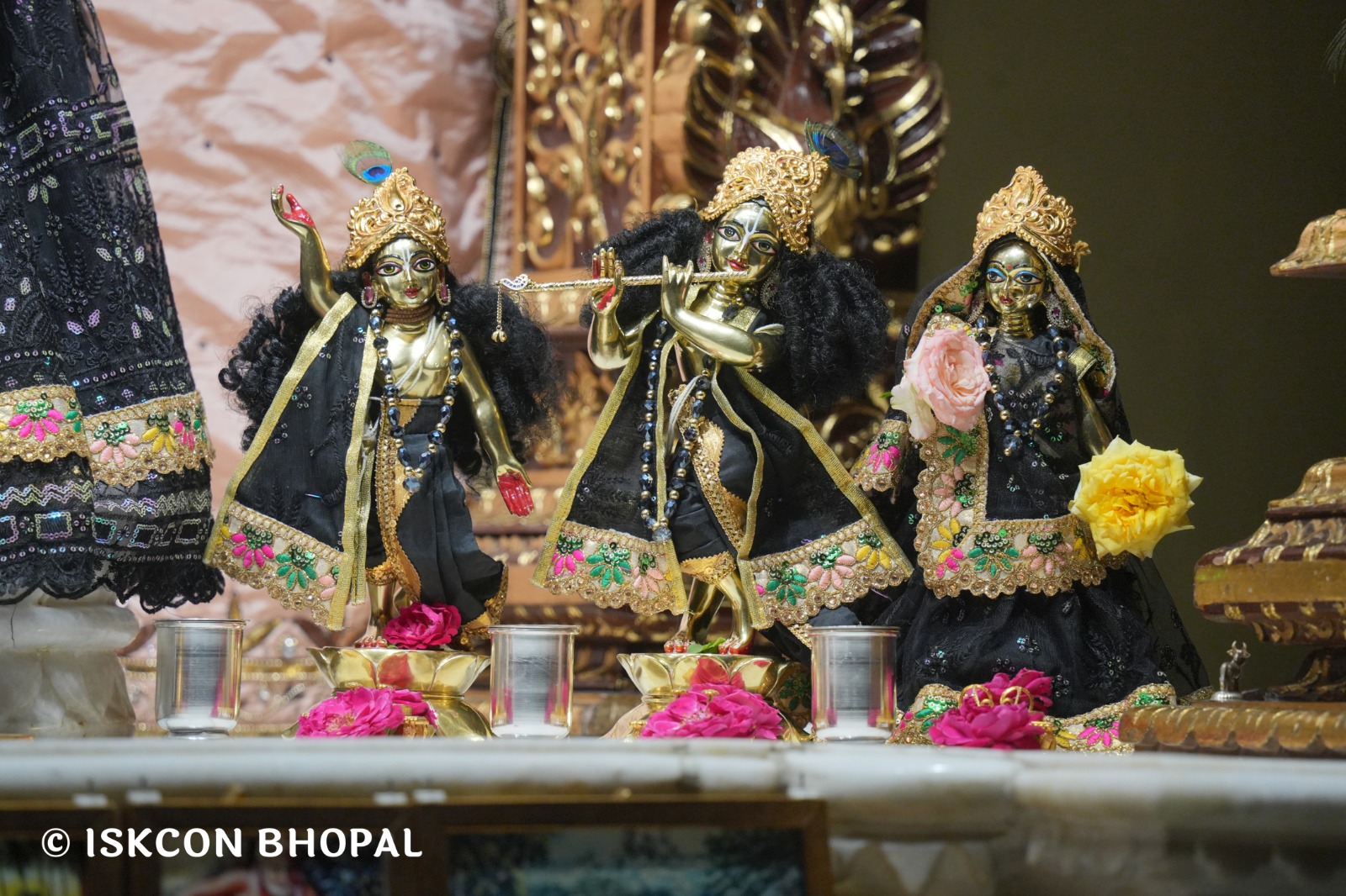 WhatsApp Image 2026-04-18 at 07.49.16