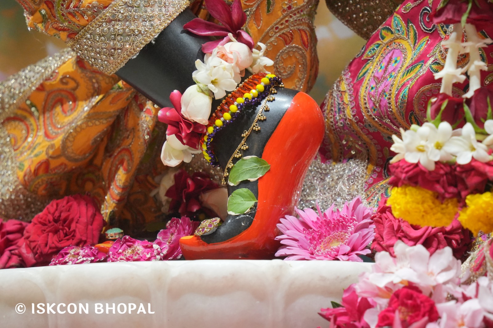 WhatsApp Image 2026-04-18 at 07.50.44