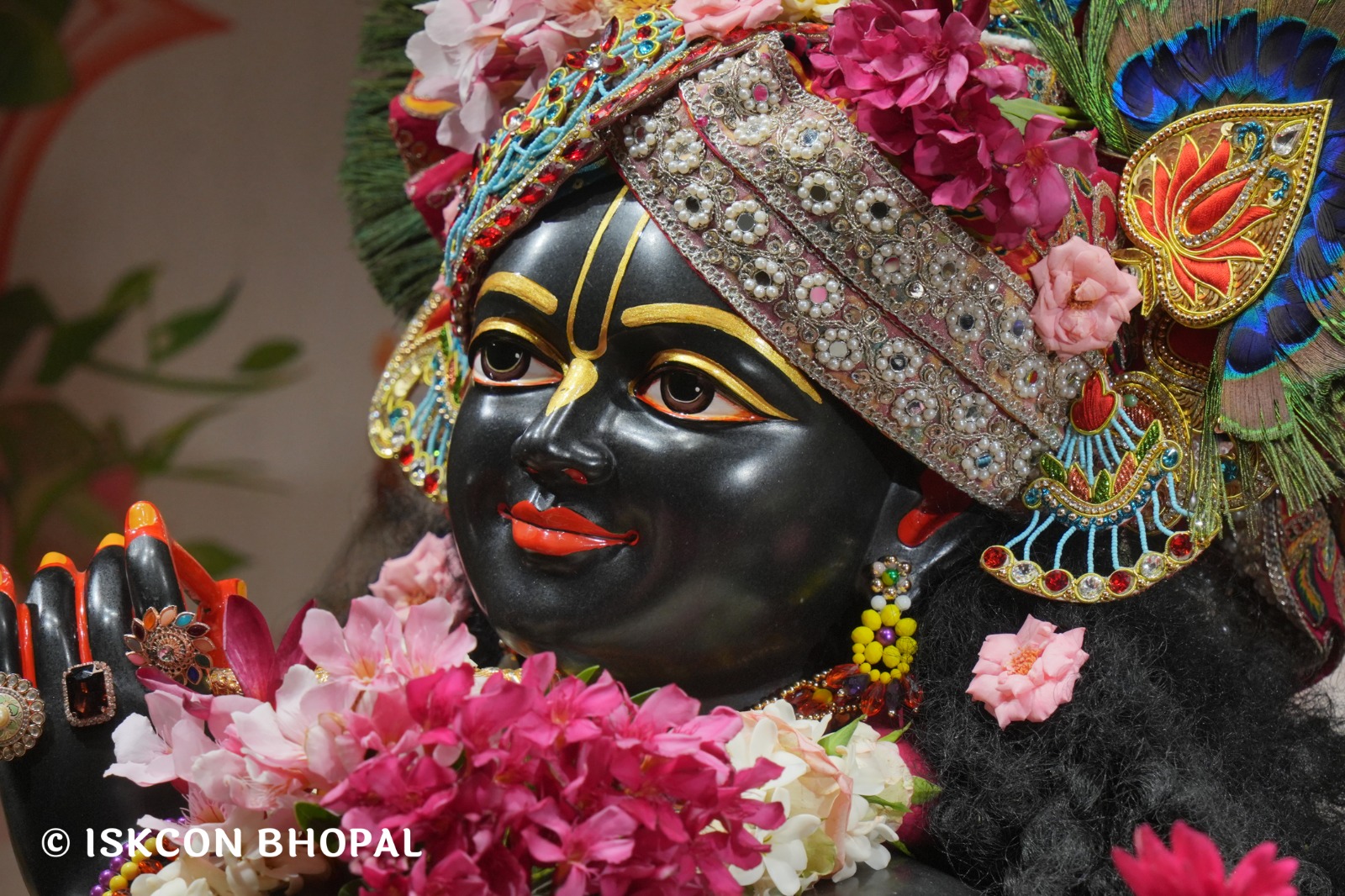 WhatsApp Image 2026-04-18 at 07.50.46