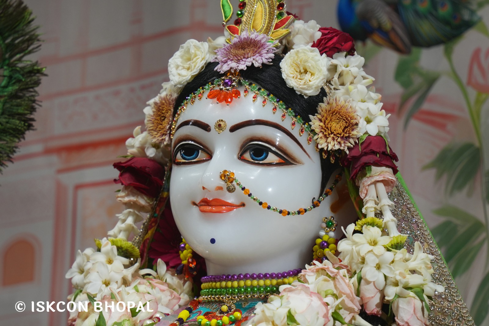 WhatsApp Image 2026-04-18 at 07.50.48