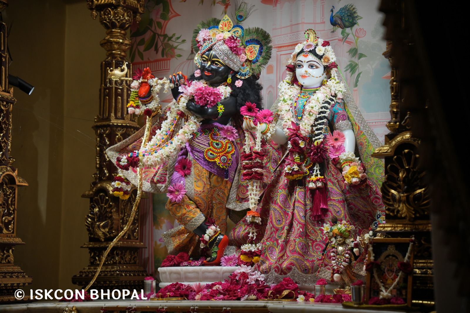 WhatsApp Image 2026-04-18 at 07.50.55