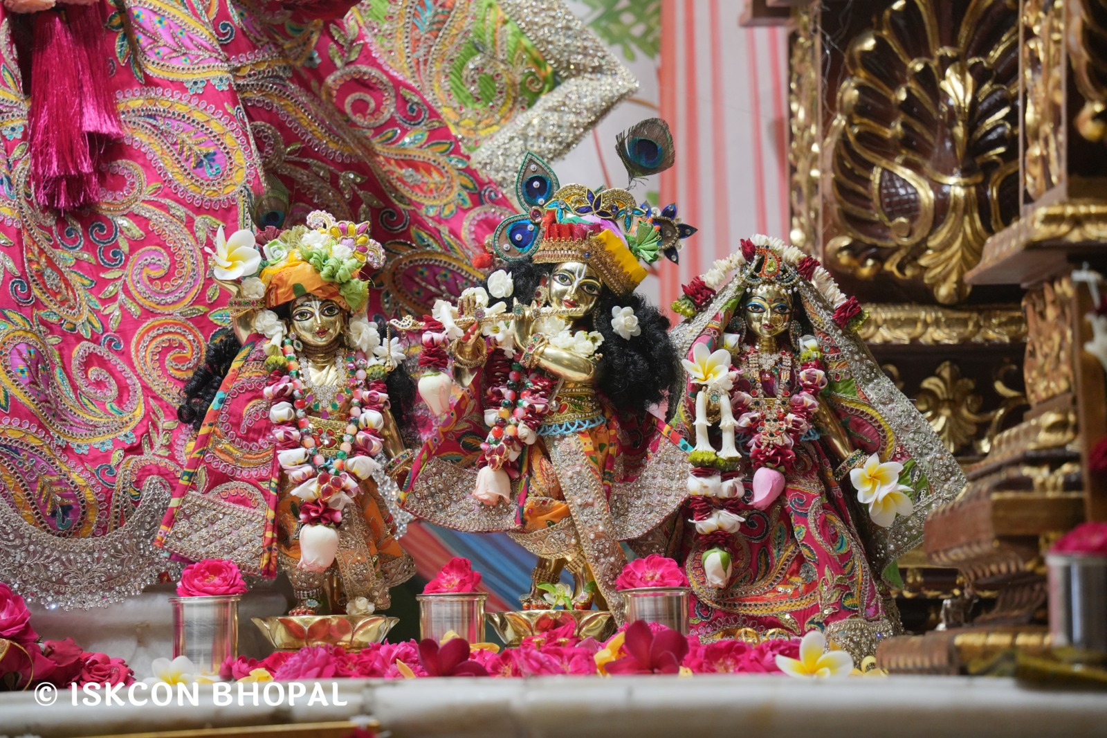 WhatsApp Image 2026-04-18 at 07.50.56