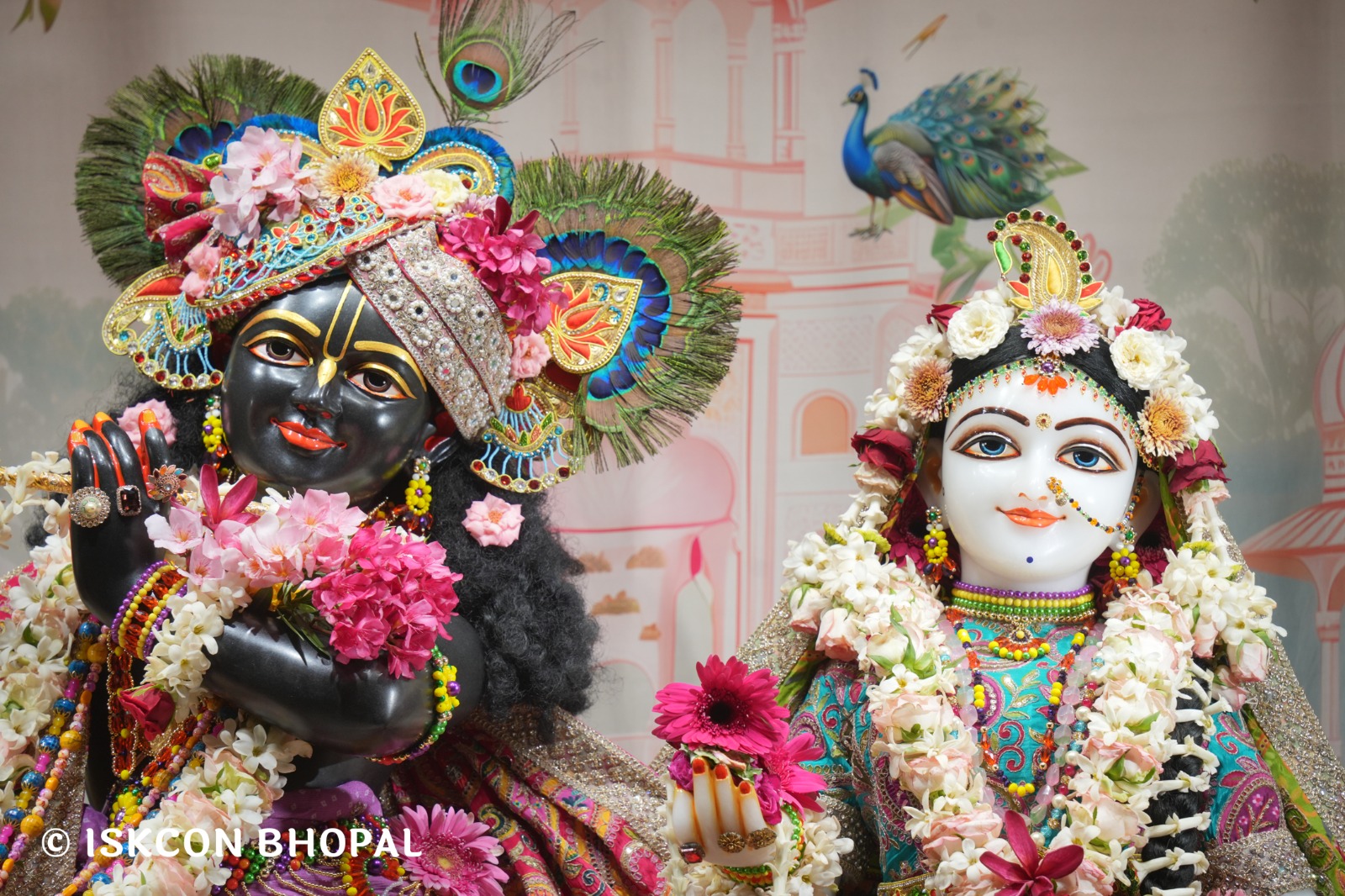 WhatsApp Image 2026-04-18 at 07.50.58