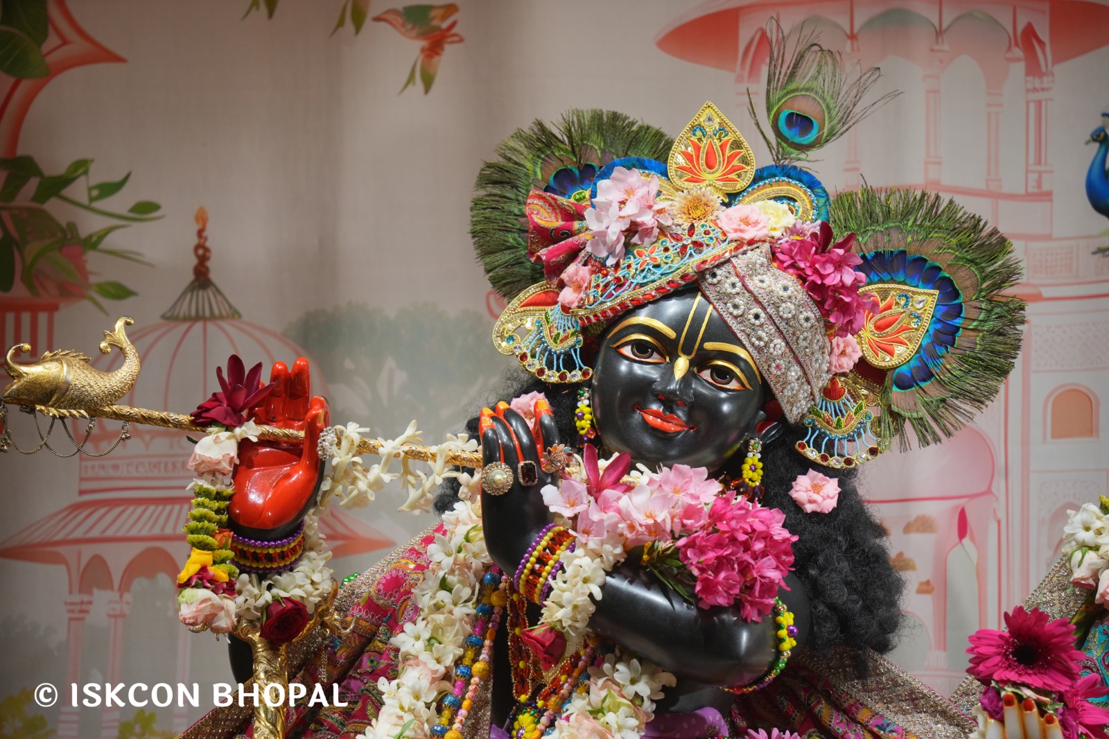 WhatsApp Image 2026-04-18 at 07.51.00