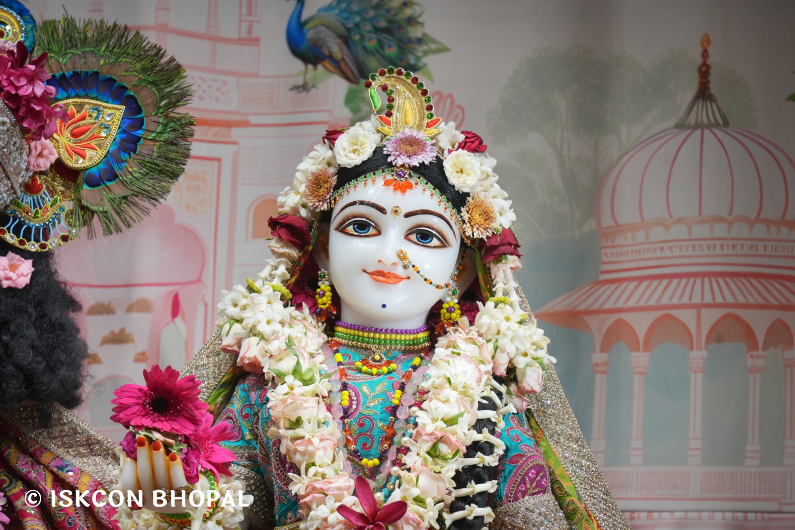 WhatsApp Image 2026-04-18 at 07.51.01