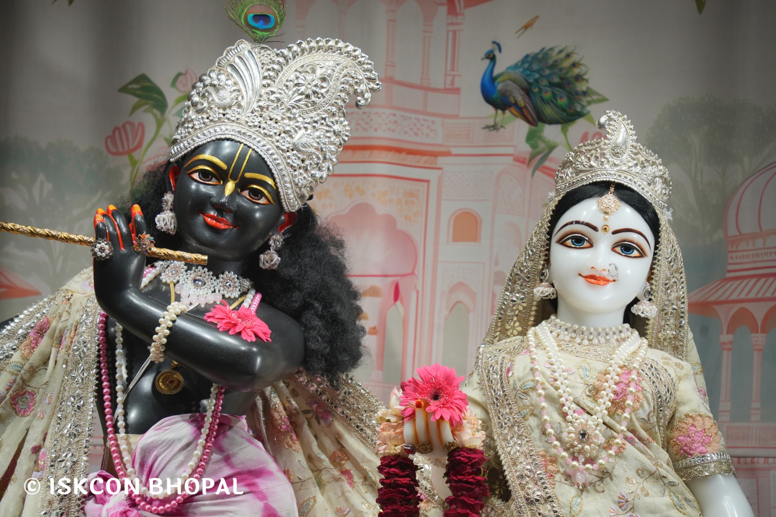 WhatsApp Image 2026-04-19 at 08.25.59