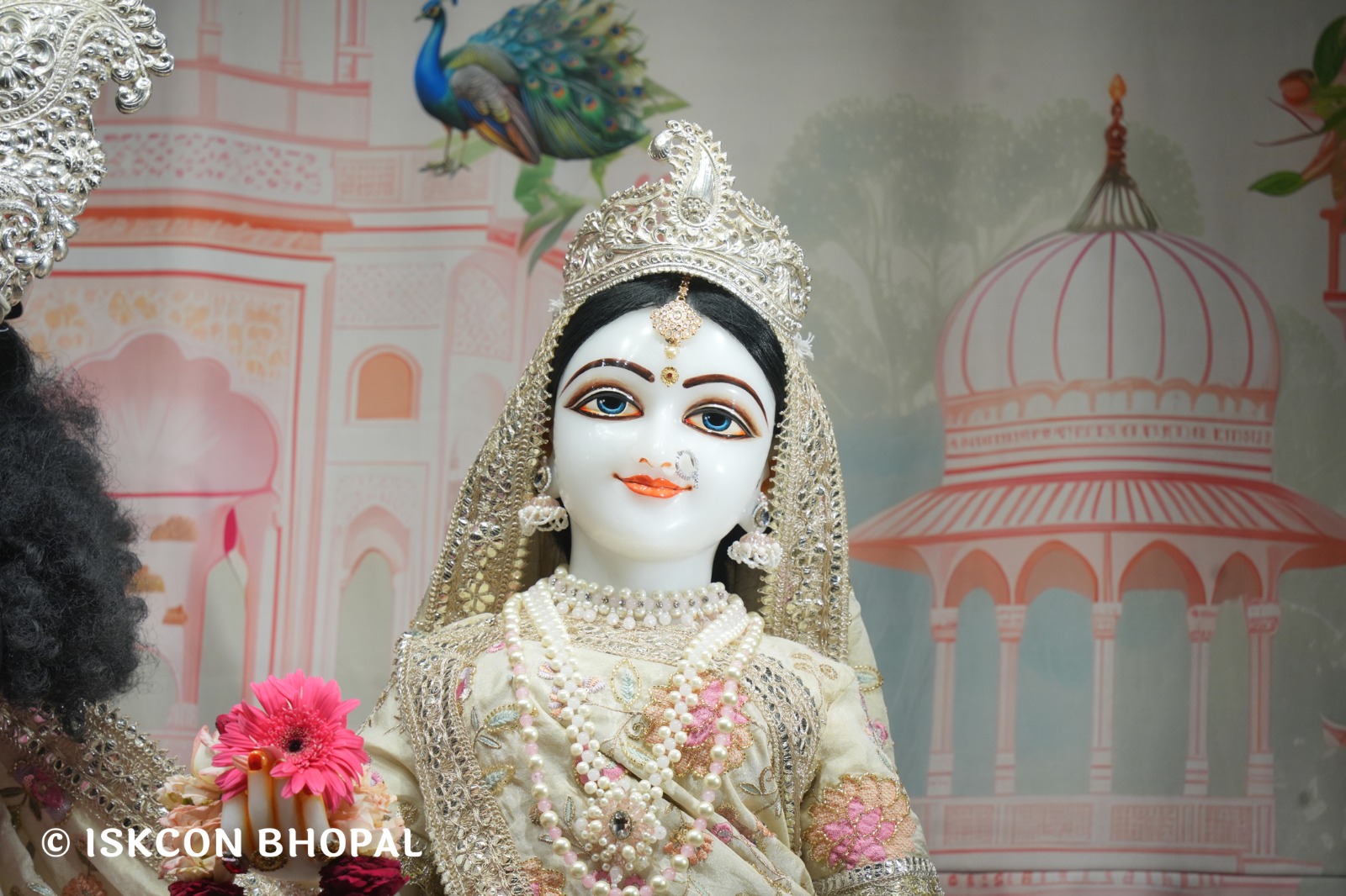 WhatsApp Image 2026-04-19 at 08.26.11