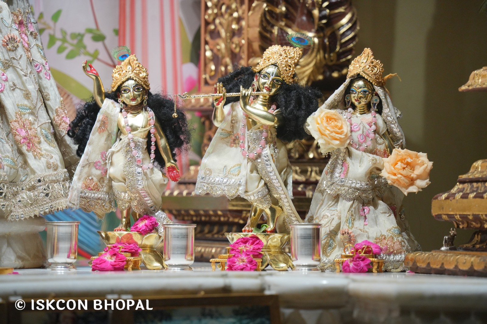 WhatsApp Image 2026-04-19 at 08.26.19