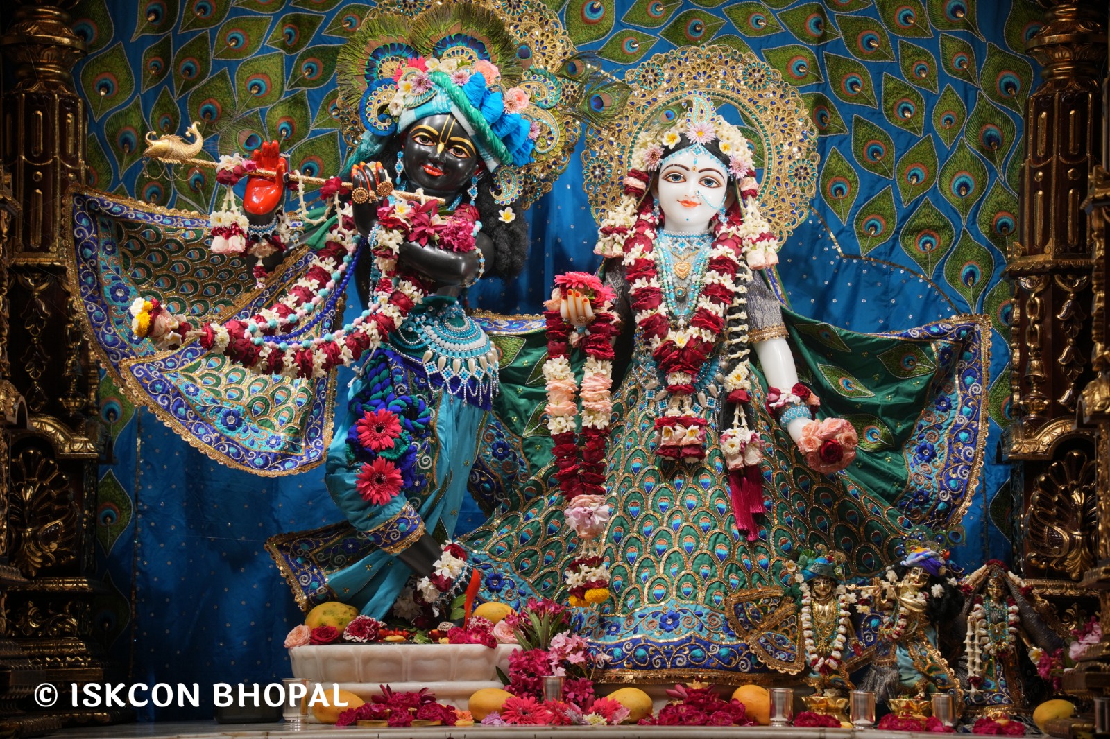 WhatsApp Image 2026-04-19 at 09.52.55