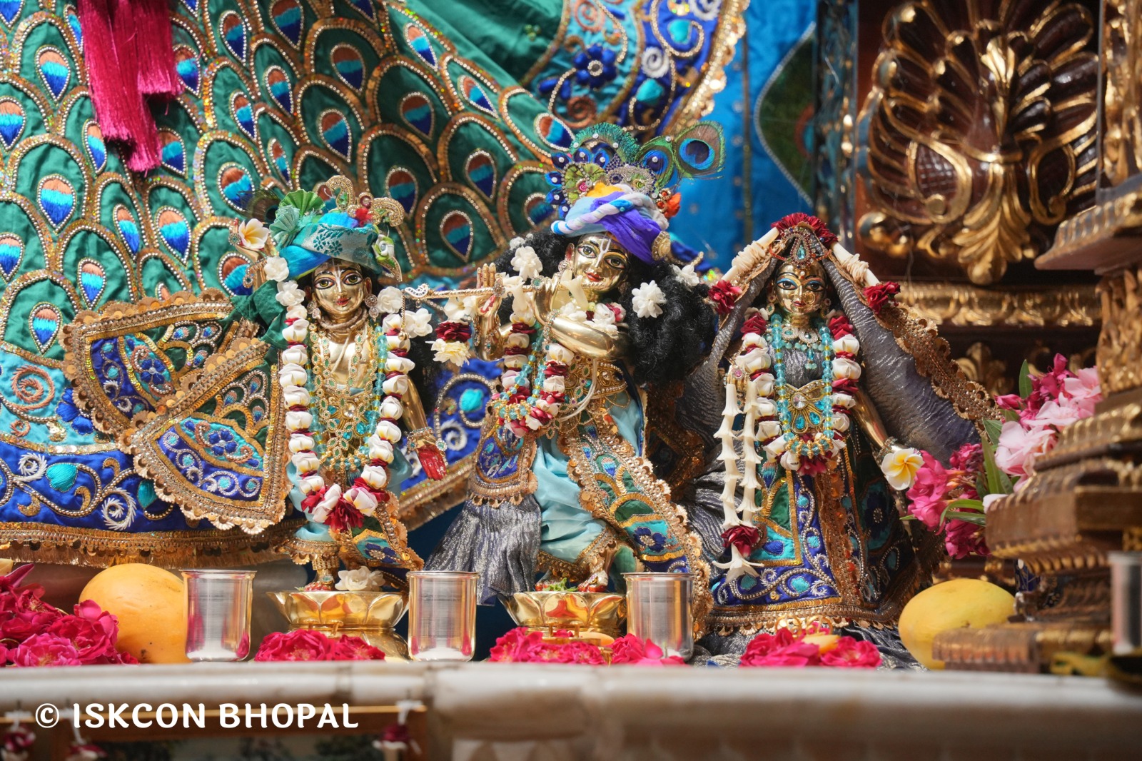 WhatsApp Image 2026-04-19 at 09.52.57