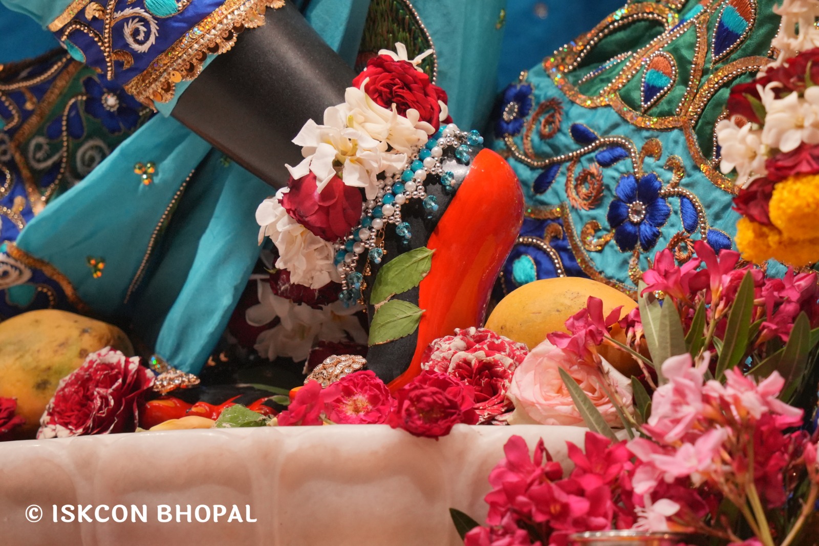 WhatsApp Image 2026-04-19 at 09.53.01