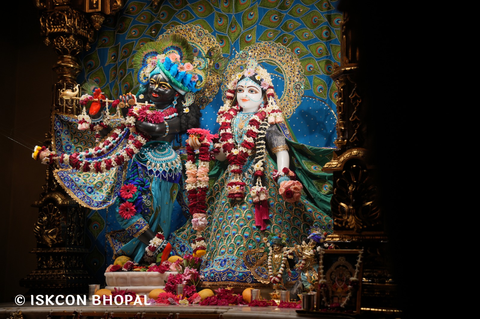 WhatsApp Image 2026-04-19 at 09.53.09