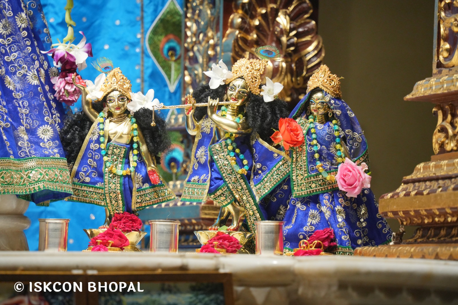 WhatsApp Image 2026-04-20 at 12.30.51