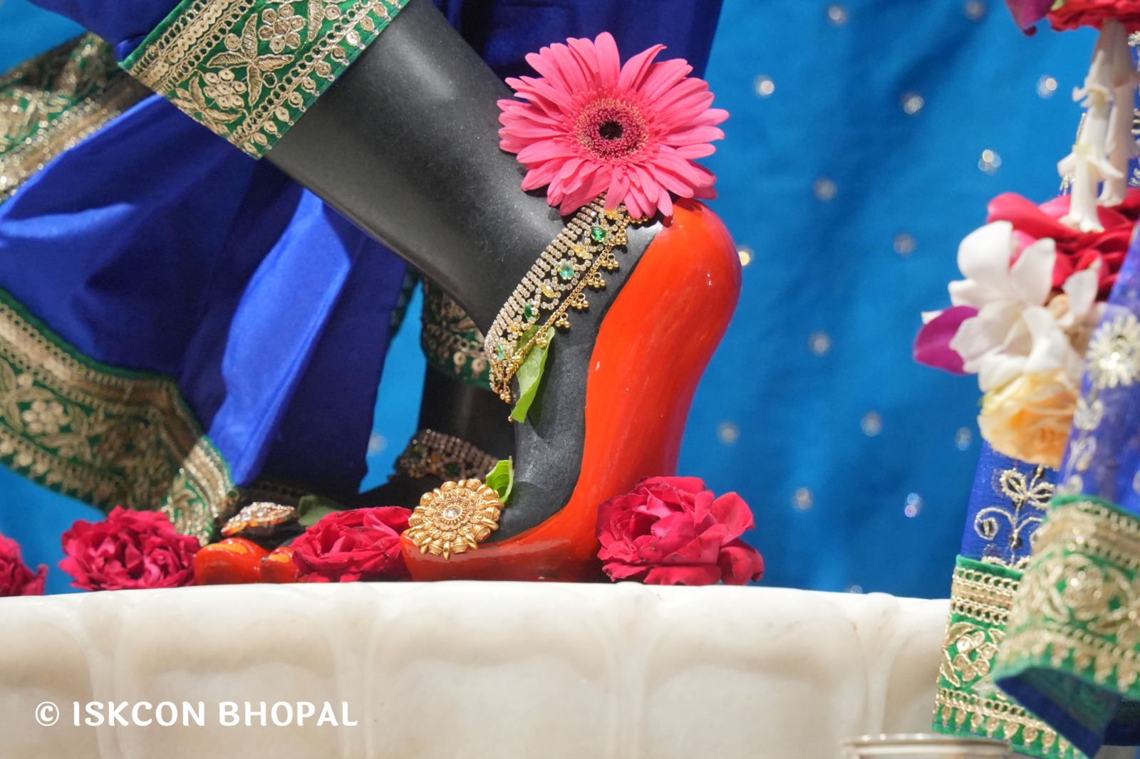 WhatsApp Image 2026-04-20 at 12.31.11