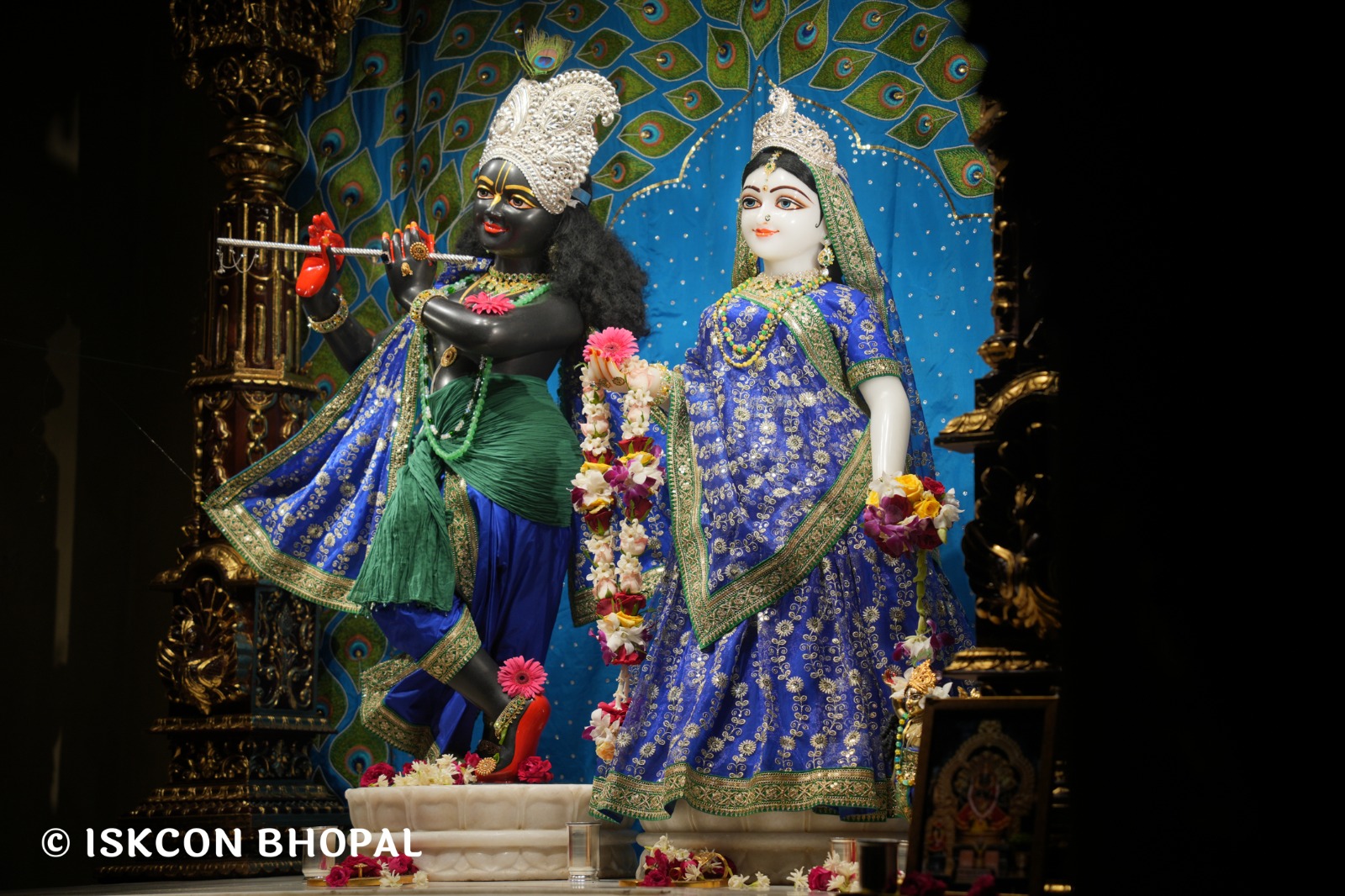 WhatsApp Image 2026-04-20 at 12.31.22