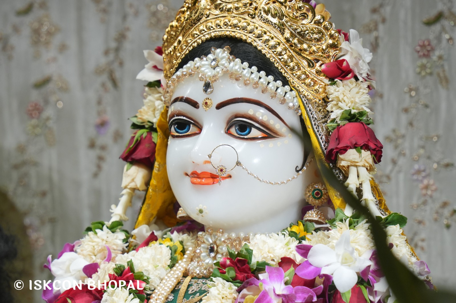 WhatsApp Image 2026-04-20 at 12.33.05