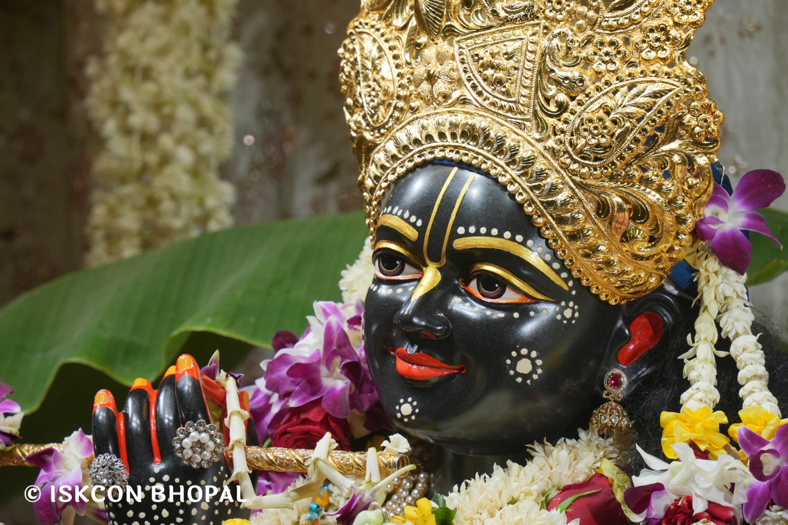 WhatsApp Image 2026-04-20 at 12.33.08