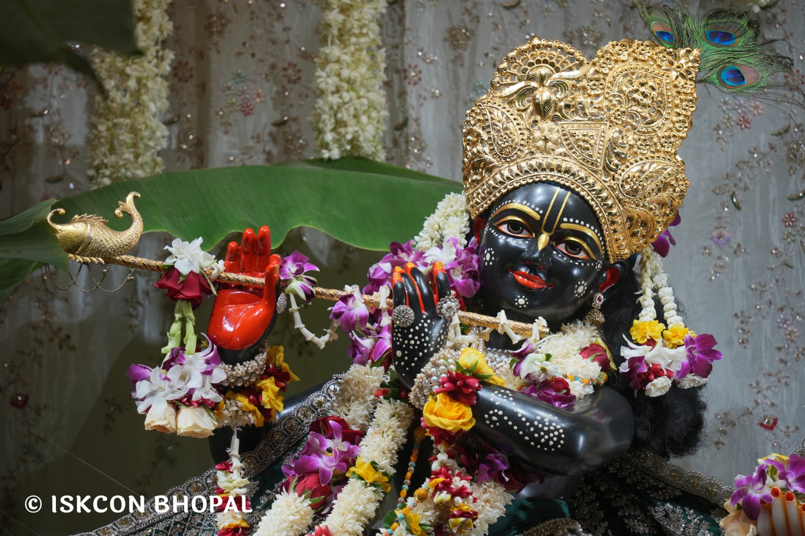 WhatsApp Image 2026-04-20 at 12.33.12