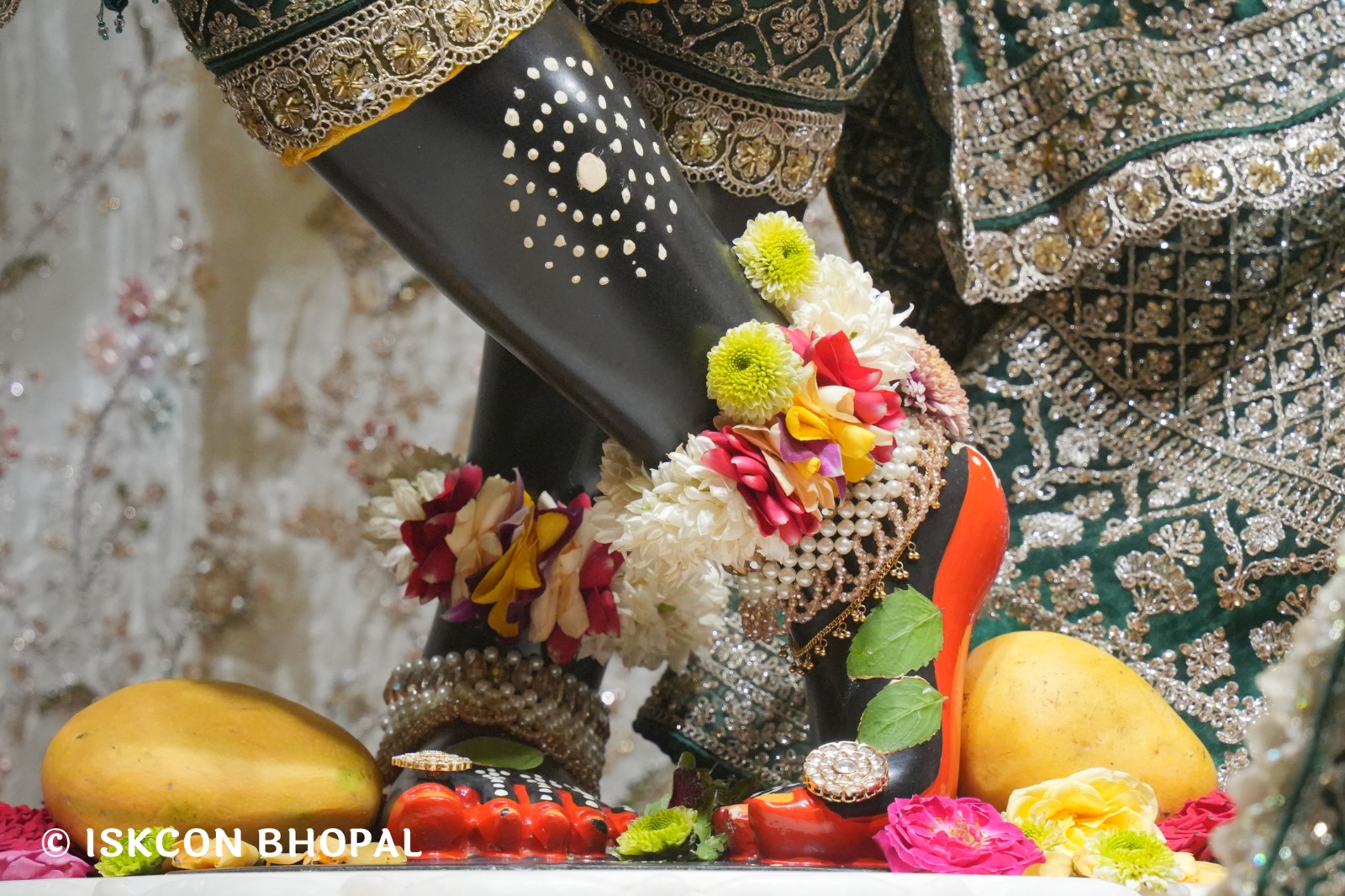 WhatsApp Image 2026-04-20 at 12.33.21