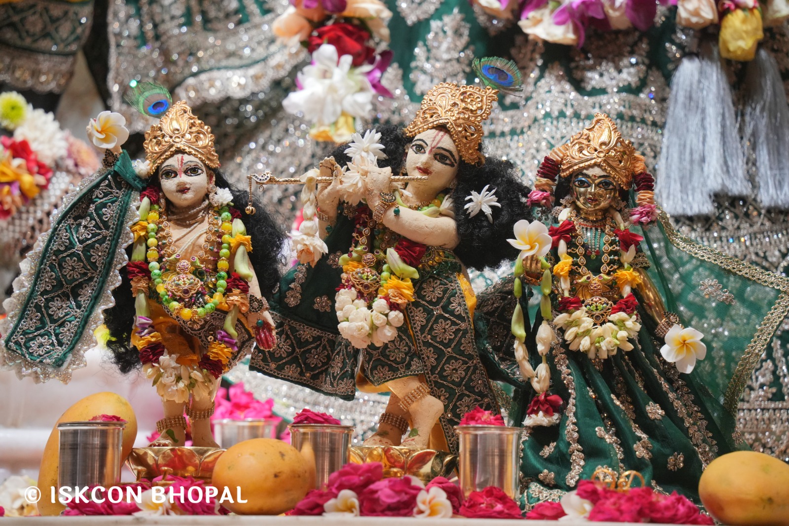 WhatsApp Image 2026-04-20 at 12.33.24