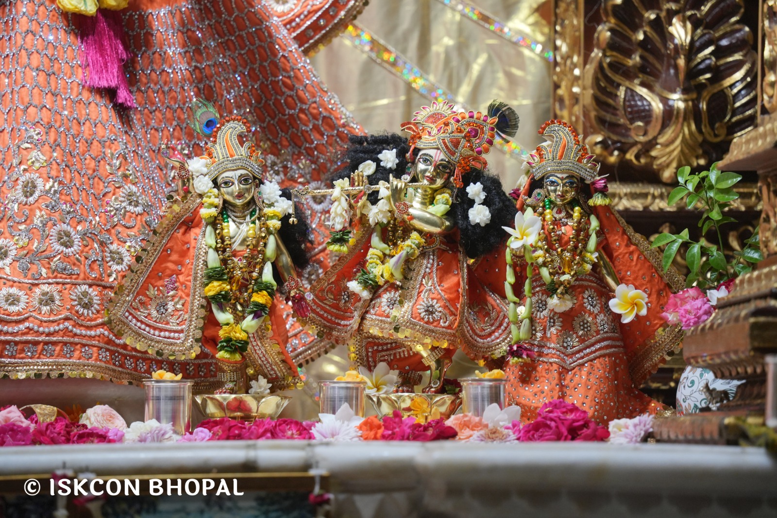 WhatsApp Image 2026-04-21 at 09.25.42