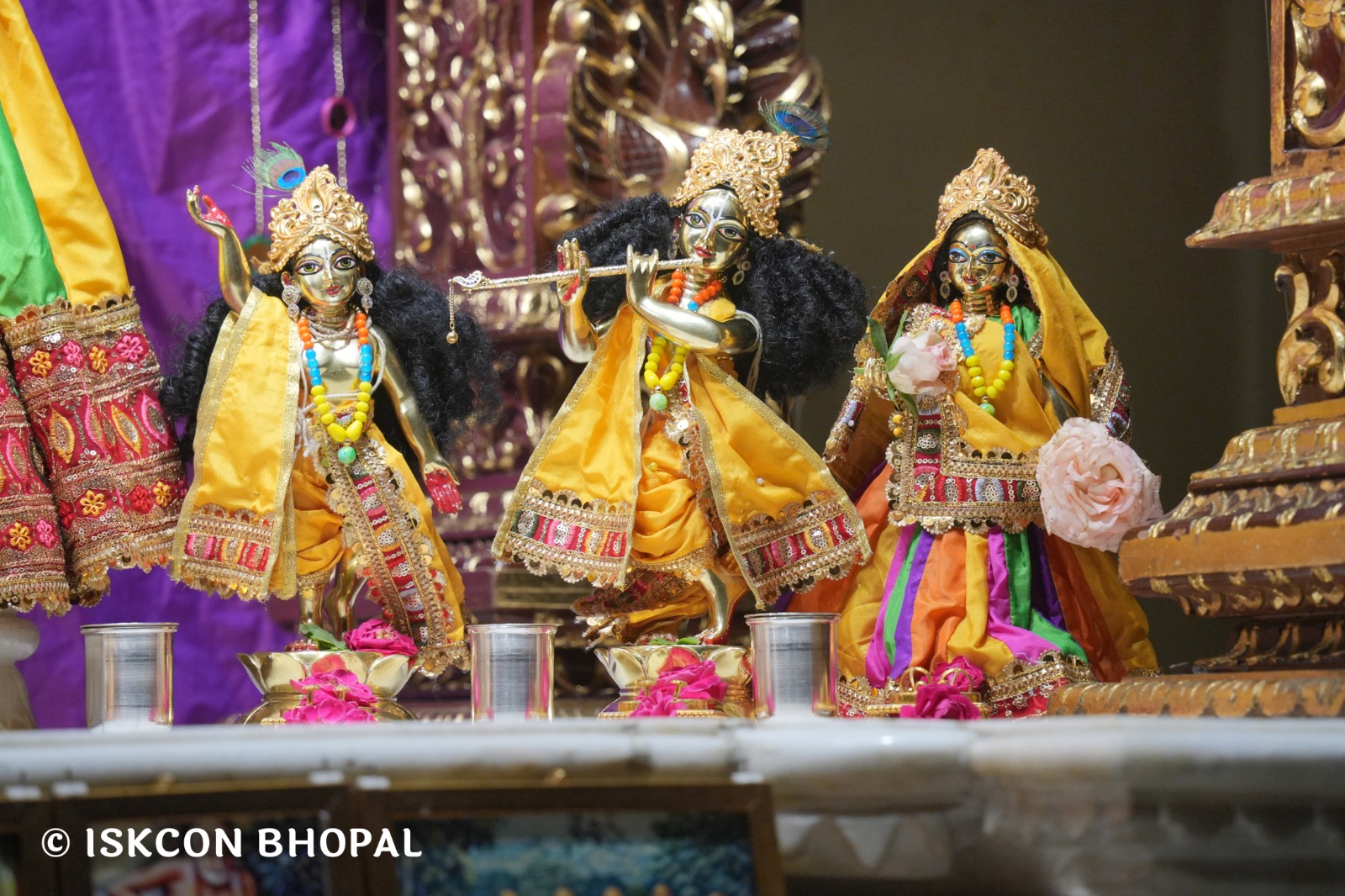 WhatsApp Image 2026-04-23 at 07.48.41