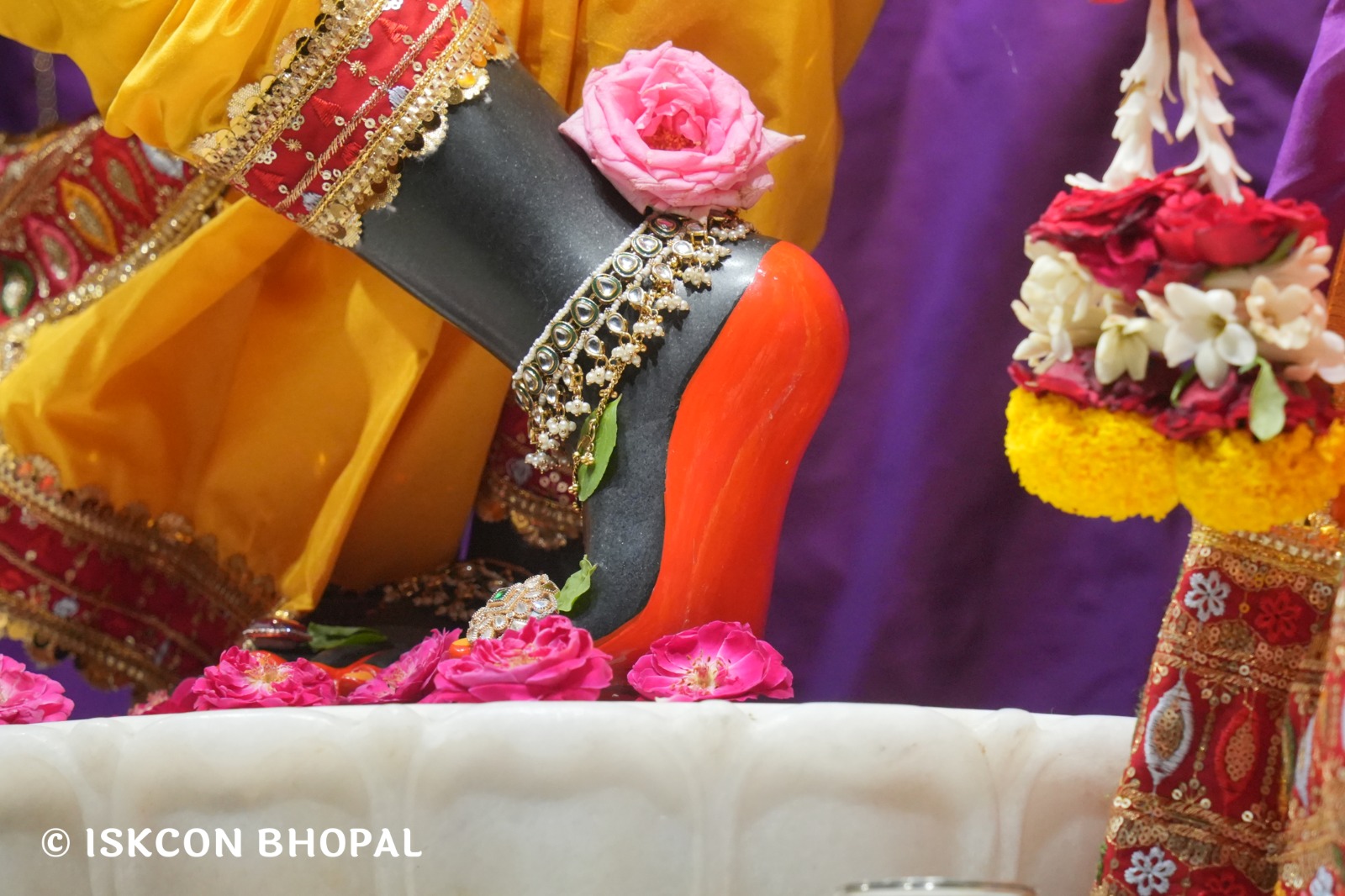 WhatsApp Image 2026-04-23 at 07.48.47