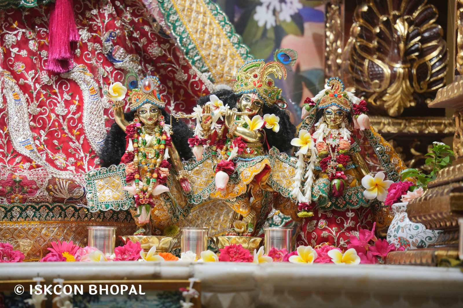 WhatsApp Image 2026-04-23 at 07.49.57