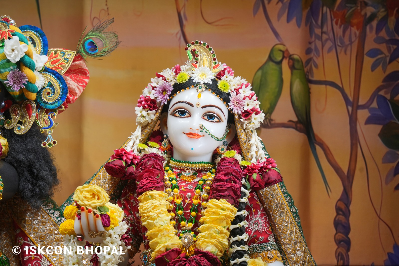 WhatsApp Image 2026-04-23 at 07.50.04