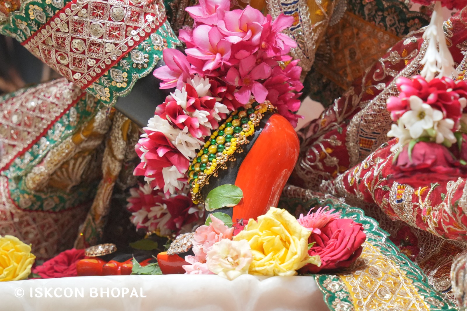 WhatsApp Image 2026-04-23 at 07.50.14