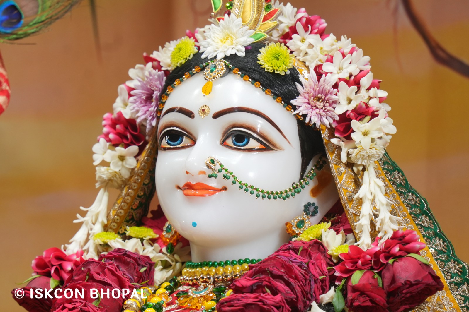 WhatsApp Image 2026-04-23 at 07.50.17